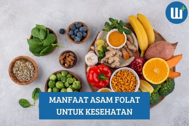 Apa Saja Manfaat Asam Folat? Simak Penjelasannya!